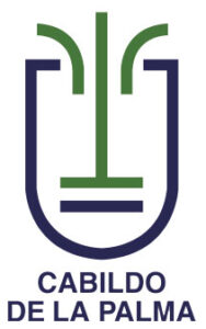 6-cabildo-la-palma